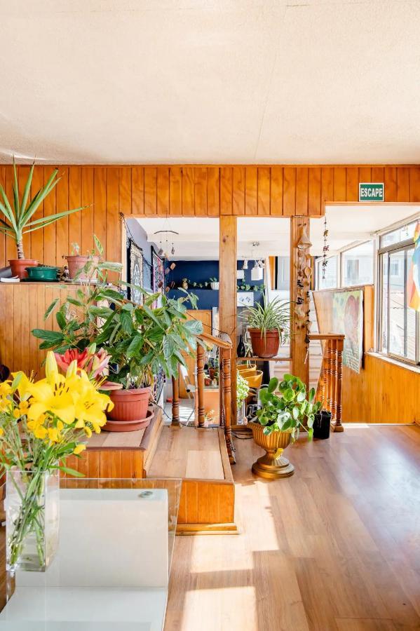 Casa Altavista Hotel Valparaiso Ngoại thất bức ảnh